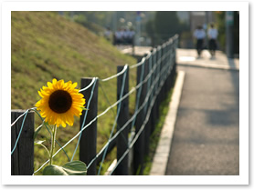 子どもらの安全はどうなの?男子行方不明の問題を考える