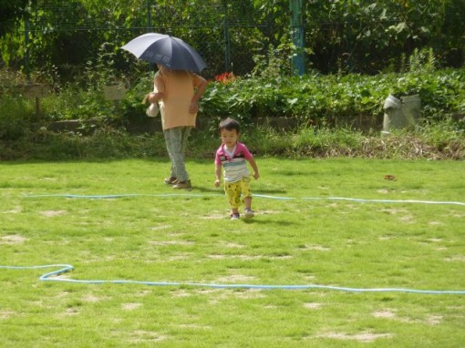  小学校の校庭の芝生化が前進!! 彼方小学校の校庭の一部が芝生化されました。 